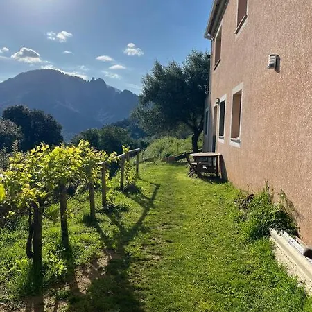 Apartmán Rez-de-villa, Neuf, Deco Loft ! Vico