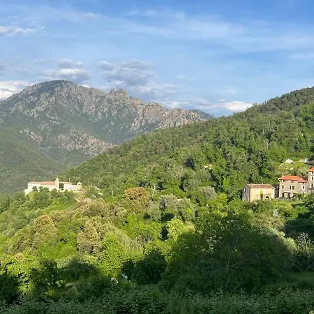 Rez-de-villa, Neuf, Deco Loft ! * Vico